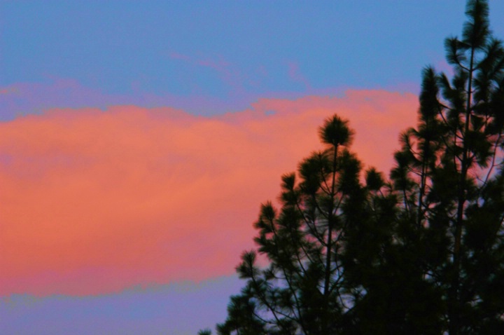 Vivid Sunset  - ID: 3557588 © Susan M. Reynolds