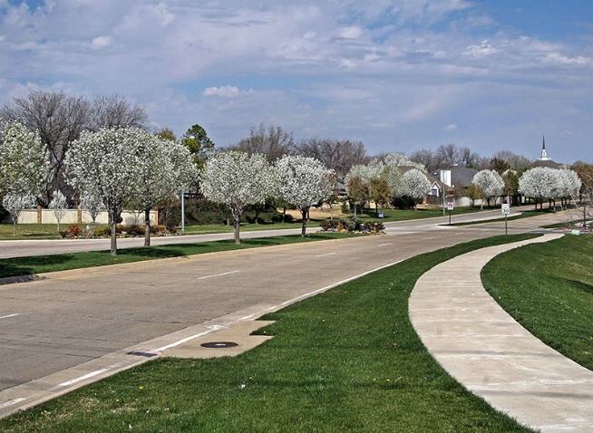 The Road Home - ID: 3563086 © Jeff Robinson