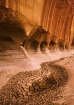 Remains of Water