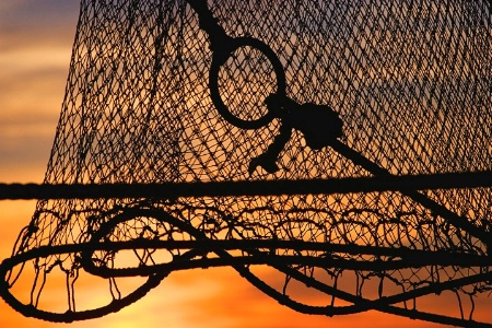 Sunset and Netting