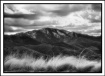 Snow Above
