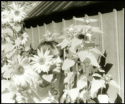 "Mark's Sunflowers" - ID: 3577799 © Carine C. Lutz