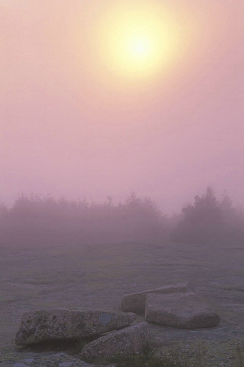 Cadillac Mtn. Sunset, Acadia National Park - ID: 3578126 © Susan Milestone