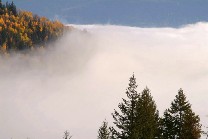 Fog on the Little Fort Hill - ID: 3585790 © Larry J. Citra