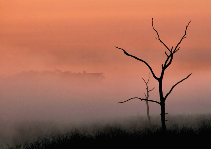 Fog at Sunrise