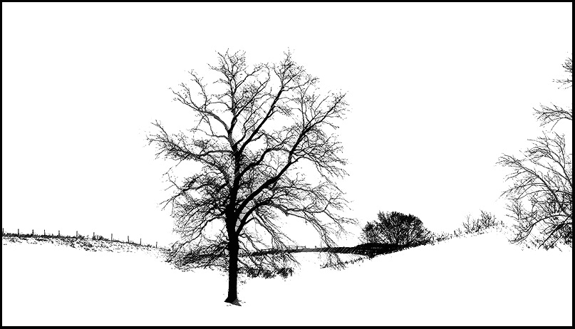 Pasture in Snow