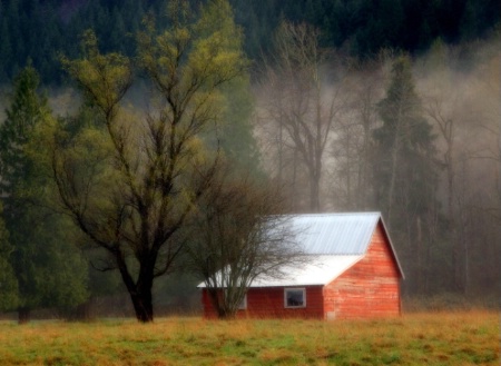 Barn and Fog