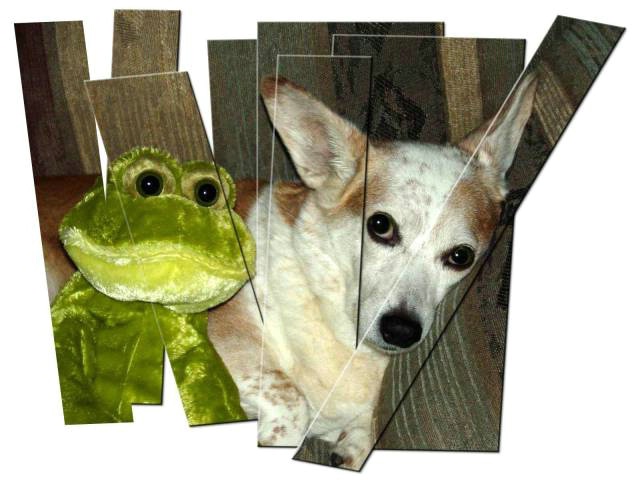img17