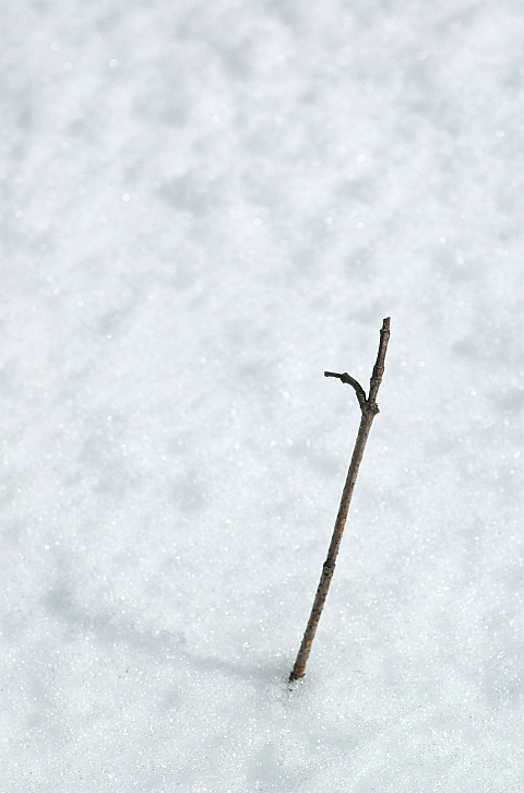Sticking Out