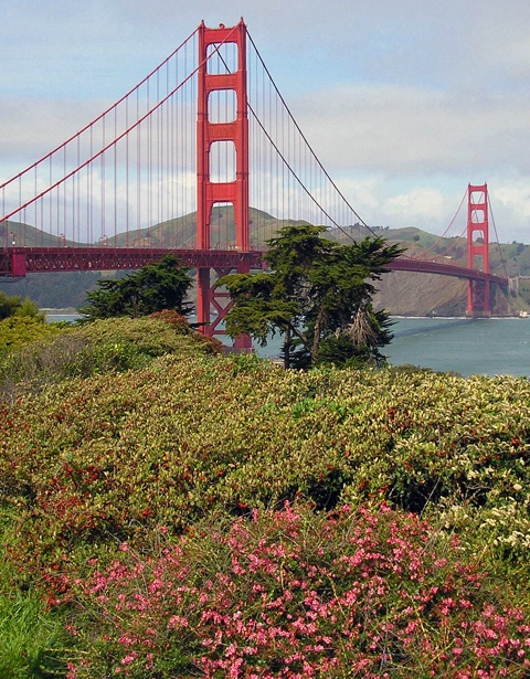 Golden Gate Bridge