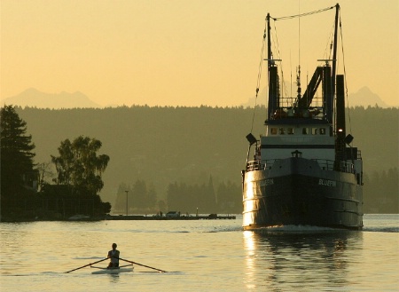 Playing Chicken on Lake Washington