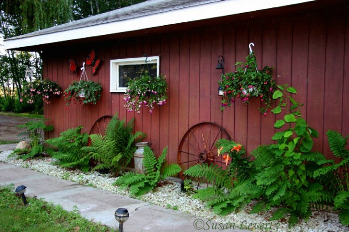 Garage wall with ferns