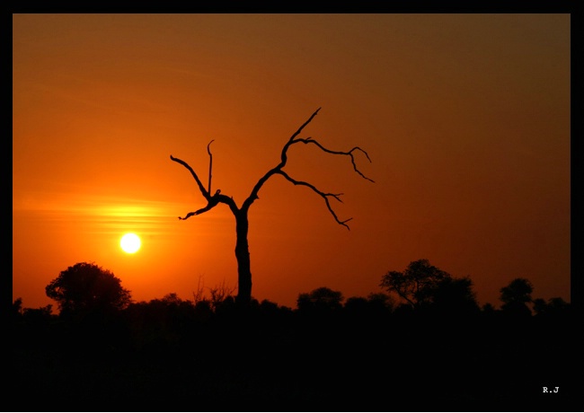 The Kruger Sun