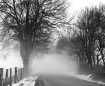 Foggy Farm Road