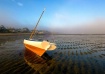 Beached Sloop