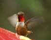 Show Off