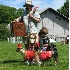 © Kevin Fogle PhotoID# 3670833: Basenjis