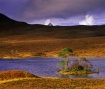 Island Retreat