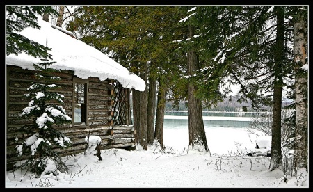 Cabin on the Lake