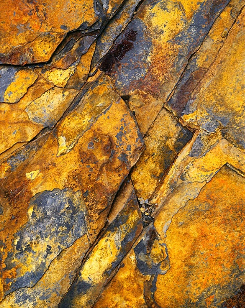 Rock design, Great Smoky Mts National Park, NC