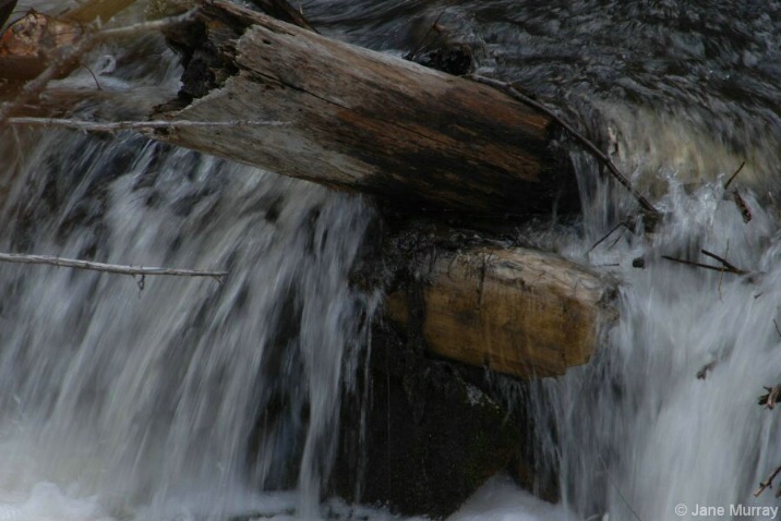 Flowing Over the Beaver Dam