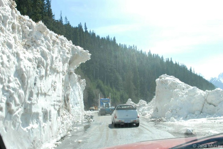 Driving Through the Avalanche