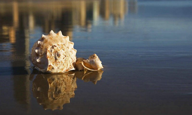 Sitting by the Sea Shore ...