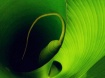 Unfurling