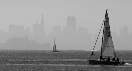 San Francisco Bay - Complimentary Background