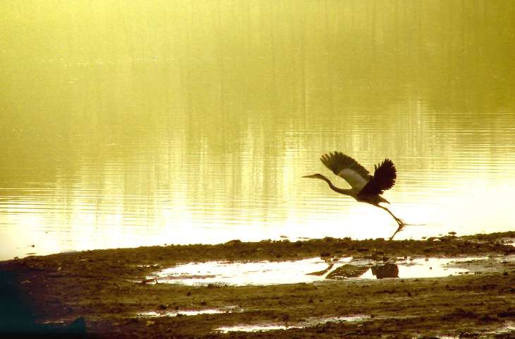 Glorious Take-Off