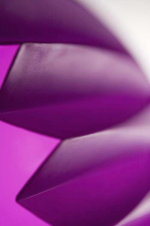 Purple Fold@f5 @ 125 strobe light & white backdrop