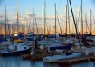 A Forest of Masts