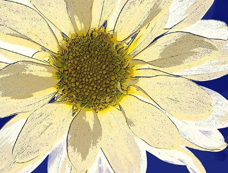 Marguerite