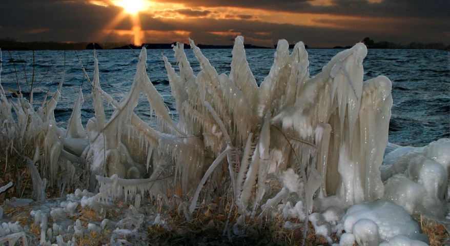 Natures Ice Sculpture