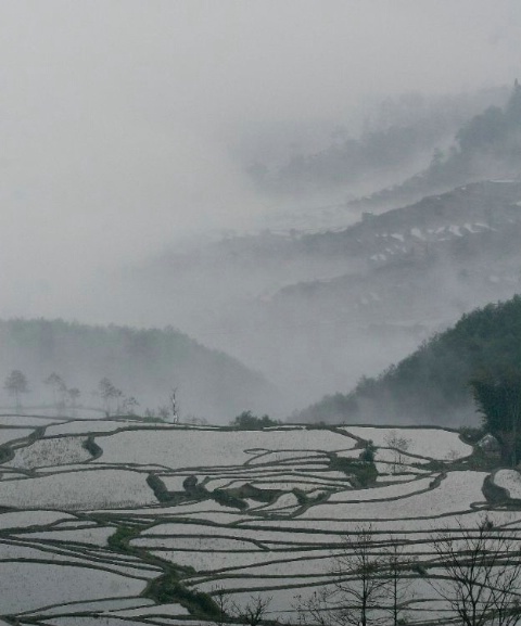 Yuanyang Rice Terraces