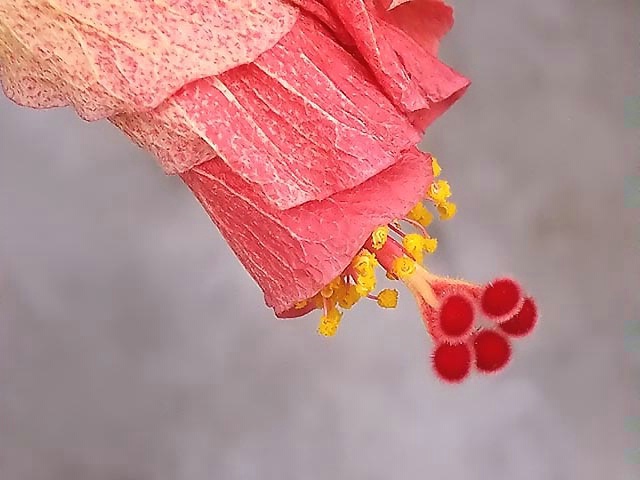 img7