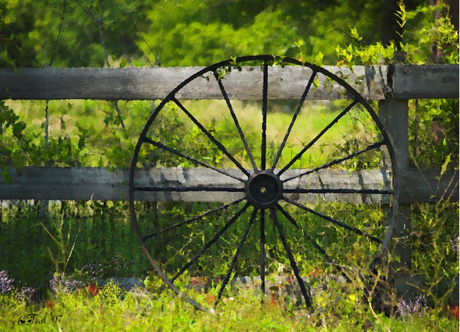 Country Charm 