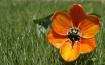 Spring Has Arrive...