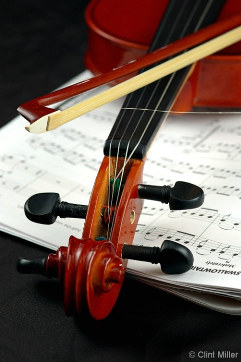  the violin_a work of art