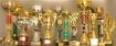 My chess trophys