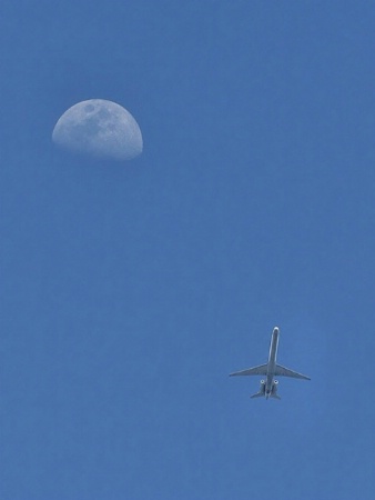 Shoot for the Moon