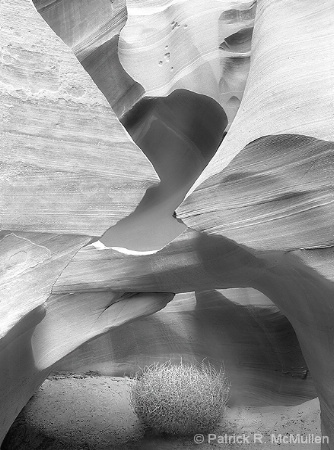 Antelope Canyon Sagebrush