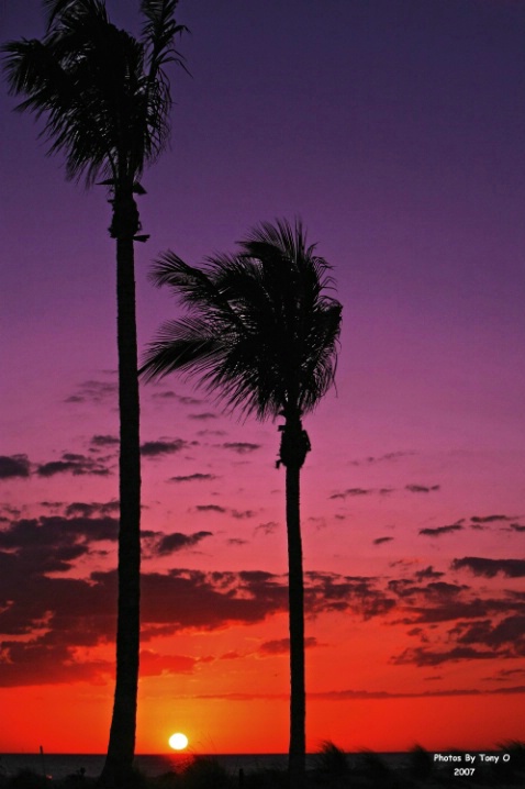 Sunset Over Captiva