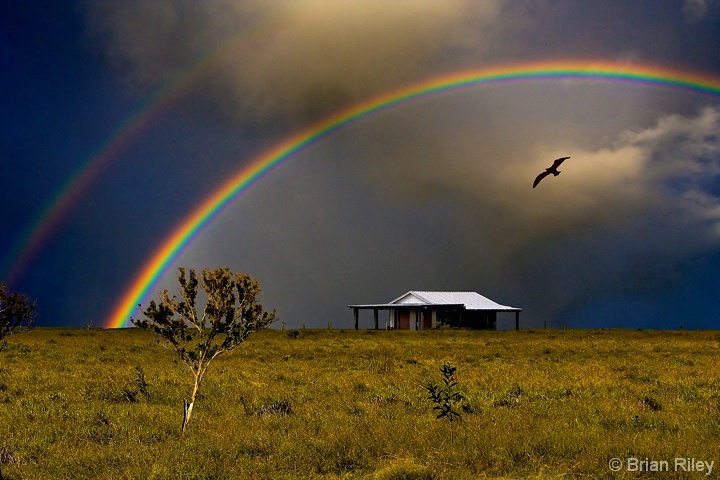 Under-the-Rainbow.jpg