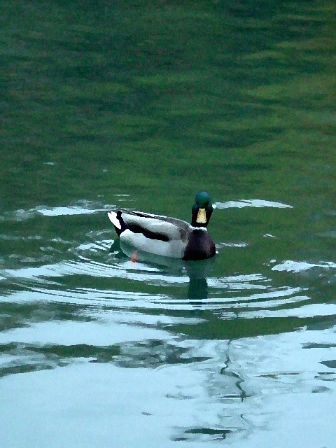 img9