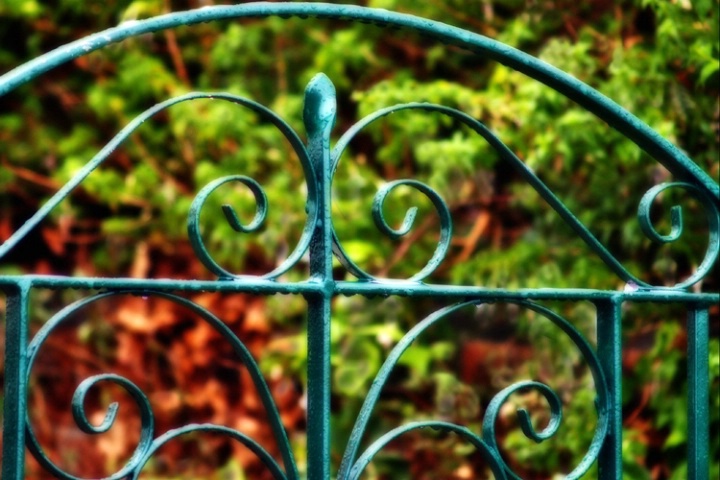 Garden Gate In The Rain