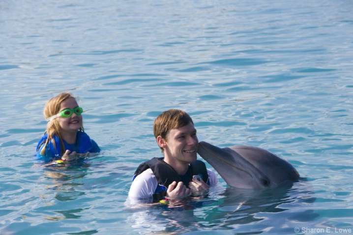 Dolphin Encounters Trip - Dolphin Swim - ID: 3774158 © Sharon E. Lowe