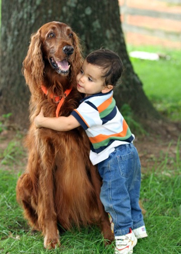 A Boy and His Dog