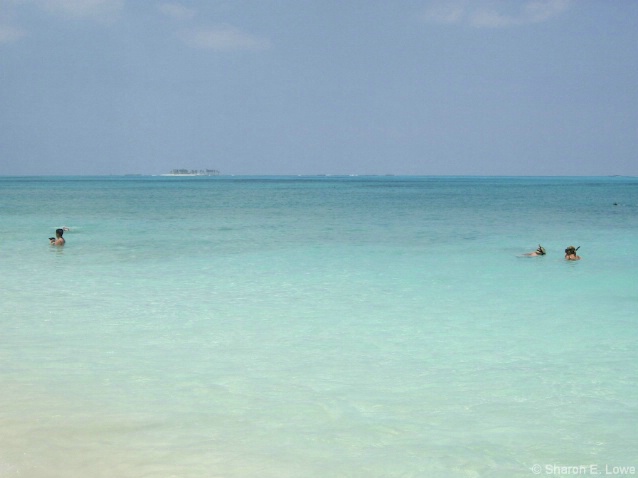 Snorkeling off the beach - ID: 3779420 © Sharon E. Lowe