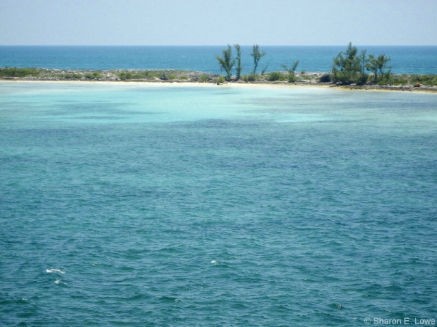 Sandbar across from Rose Island - ID: 3779424 © Sharon E. Lowe